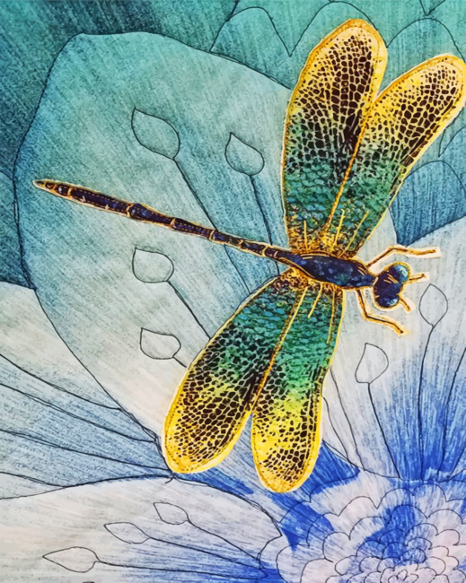 Abstract Dragonfly Painting By Numberss.png