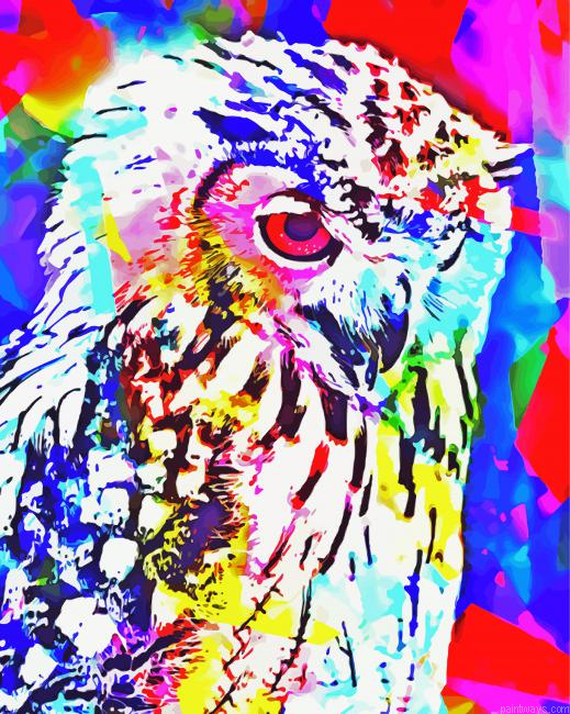 Abstract Owl Bird Painting By Numberss.png