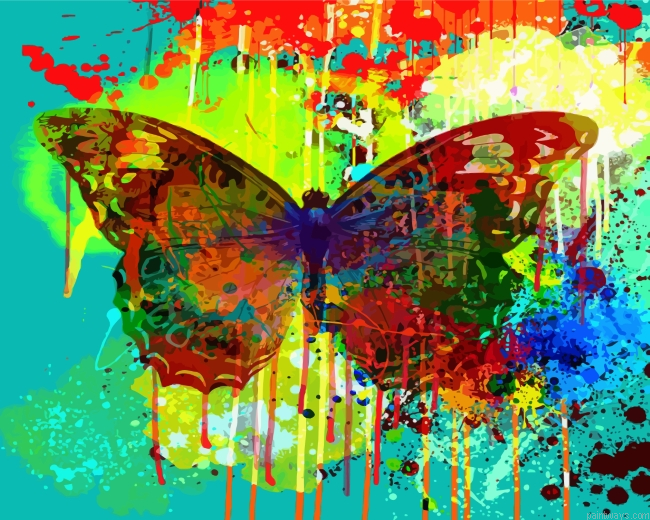 Abstract Splash Butterfly Painting By Numbers.png