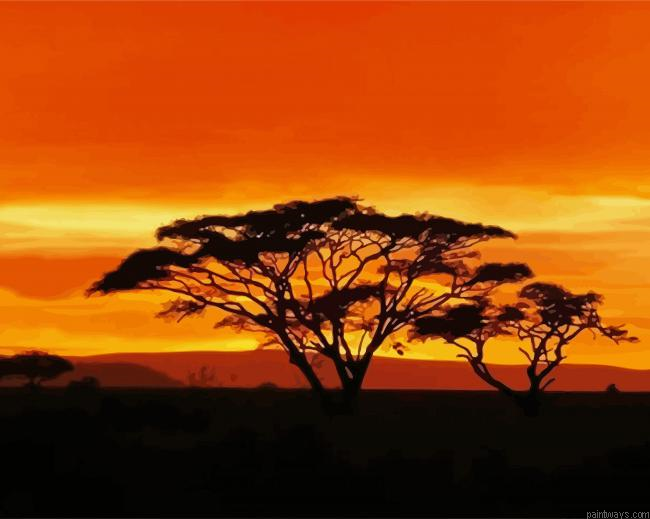 Acacia Tree At Sunset Painting By Numberss.png