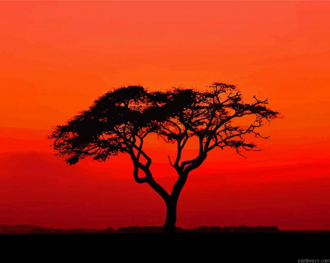 Acacia Tree Silhouette At Sunset Painting By Numberss.png