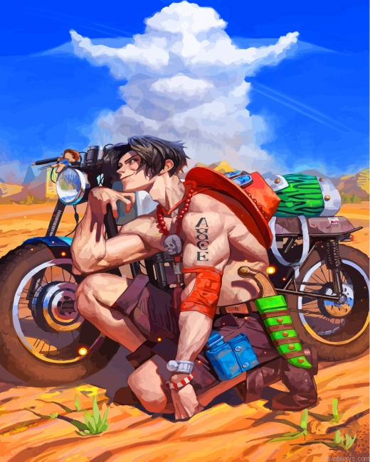 Ace One Piece Painting By Numbers.png