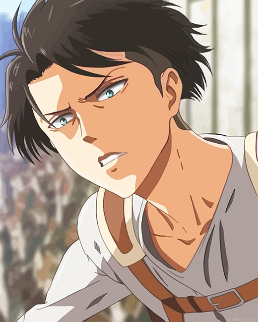 Ackerman Animes Painting By Numberss.png