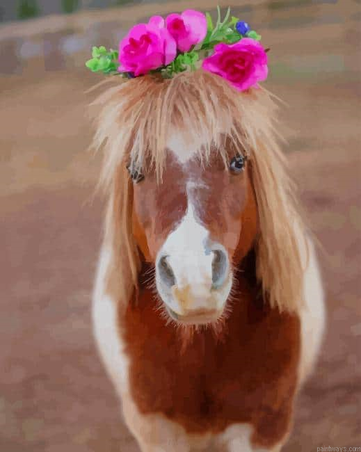 Adopt A Shetland Pony New Painting By Numberss.png