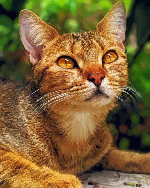 Adorable Abyssinian Cat Painting By Numberss.png