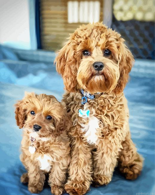 Adorable Cavoodle Dogs Painting By Numberss.png