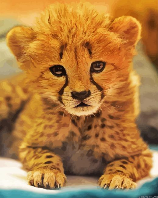 Adorable Cheetah Cub Painting By Numberss.png