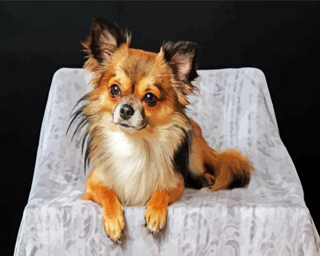 Adorable Chiweenie Dog Painting By Numberss.png