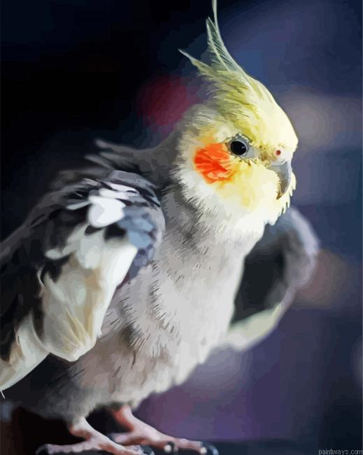 Adorable Cockatiel Bird Painting By Numberss.png