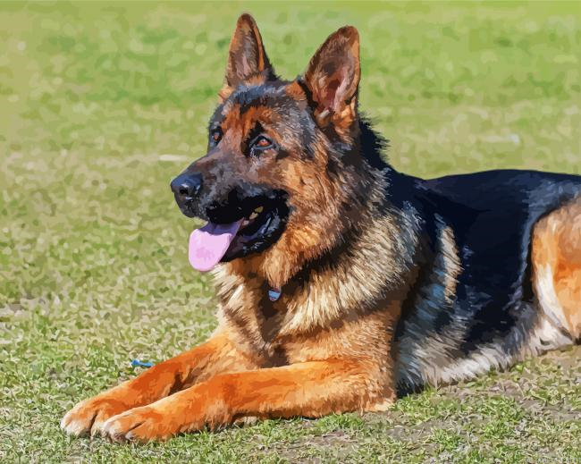 Adorable German Shepherds Painting By Numberss.png