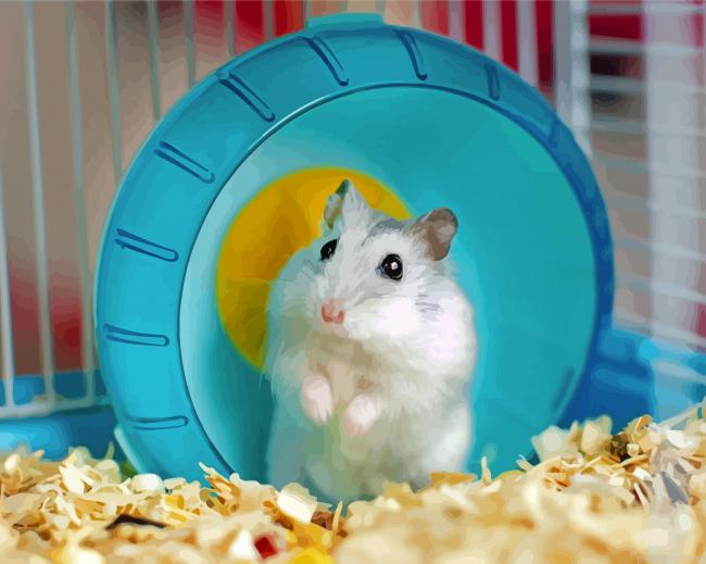 Adorable Hamster Painting By Numberss.png