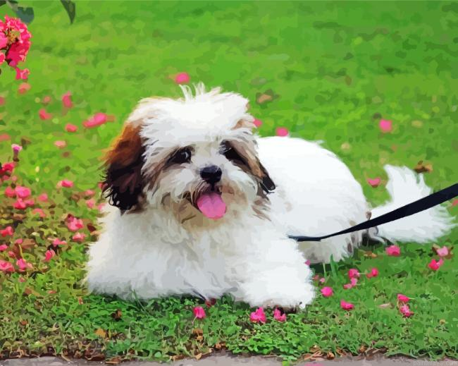 Adorable Lhassa Apso Painting By Numberss.png