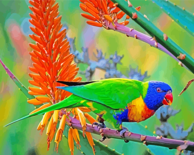 Adorable Lorikeet Bird Painting By Numberss.png