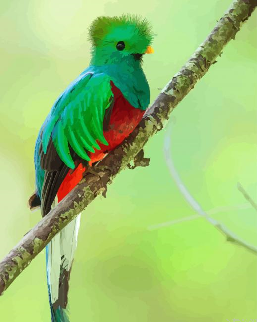 Adorable Quetzal Bird Painting By Numberss.png