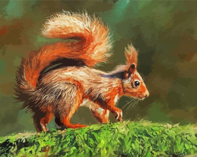 Adorable Red Squirrel Painting By Numberss.png