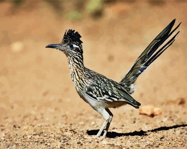 Adorable Roadrunner Bird Painting By Numberss.png