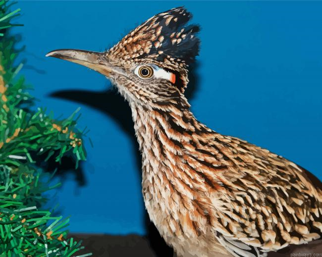 Adorable Roadrunner Painting By Numberss.png