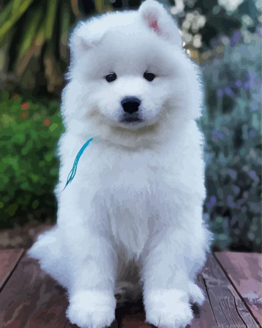 Adorable Samoyed Dog Painting By Numberss.png