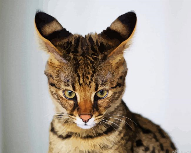 Adorable Savannah Cat Painting By Numberss.png