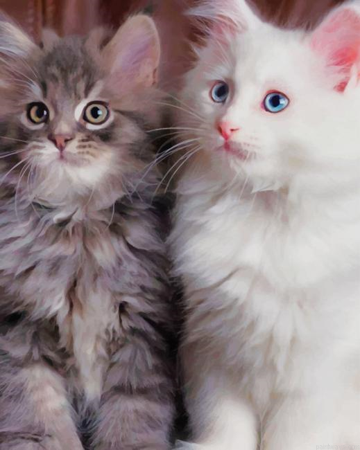 Adorable Kittens New Painting By Numberss.png