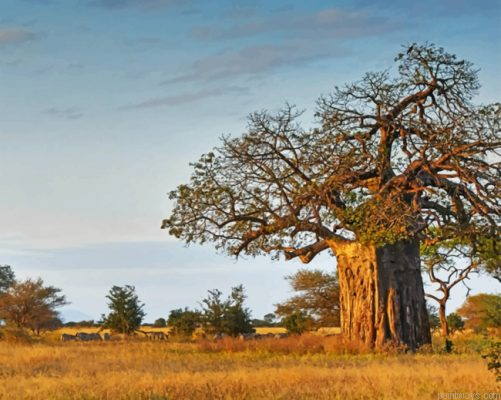 Aesthetic Baobab Tree Painting By Numbers.png