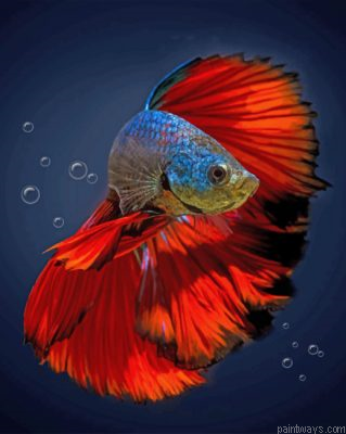 Aesthetic Betta Fish Painting By Numbers.png