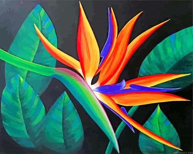 Aesthetic Bird Of Paradise Flower Painting By Numbers.png