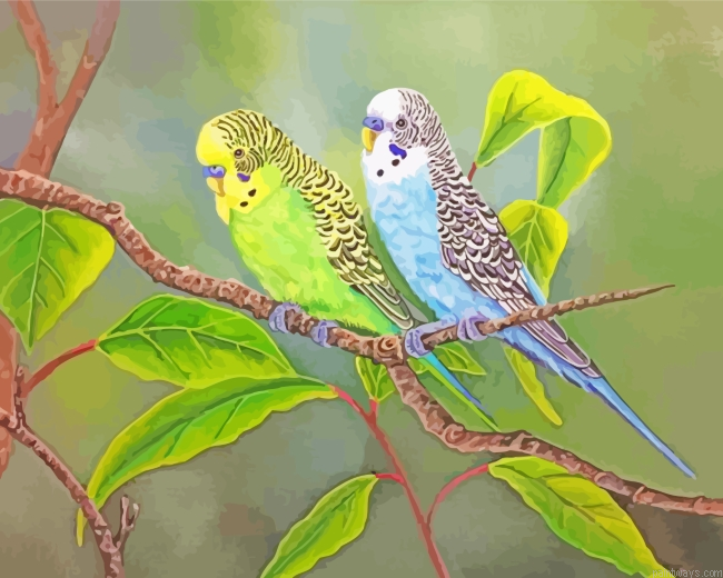 Aesthetic Budgie Birds Painting By Numberss.png
