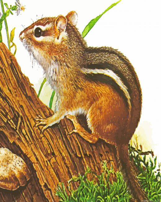 Aesthetic Chipmunk Rodent Painting By Numberss.png