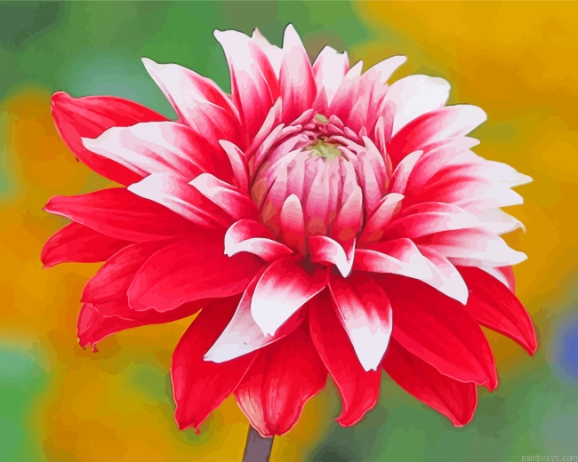 Aesthetic Dahlia Flower Painting By Numberss.png