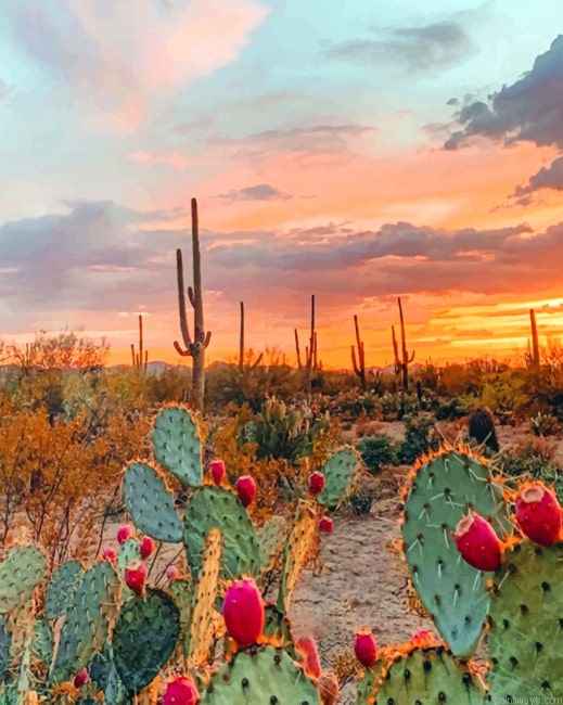 Aesthetic Desert Landscapes Painting By Numberss.png