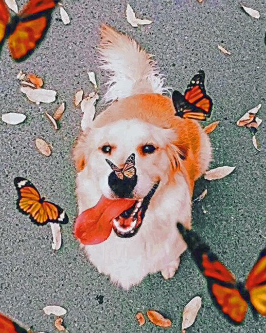 Aesthetic Dog Animals Painting By Numberss.png