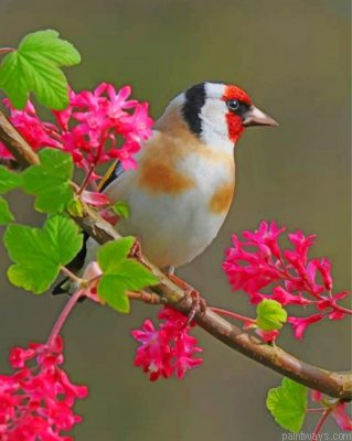 Aesthetic Goldfinch Bird Painting By Numbers.png