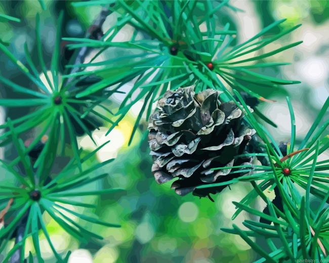 Aesthetic Green Pine Tree Painting By Numberss.png