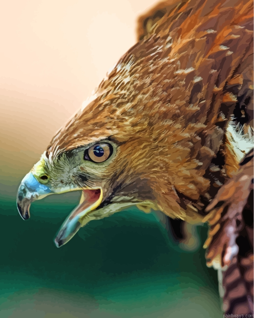 Aesthetic Hawk Eagle Bird Painting By Numberss.png