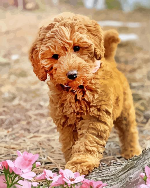 Aesthetic Labradoodle Painting By Numberss.png