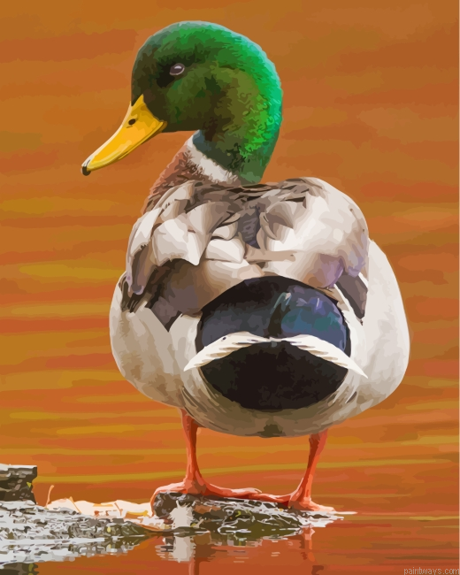 Aesthetic Mallard Painting By Numbers.png