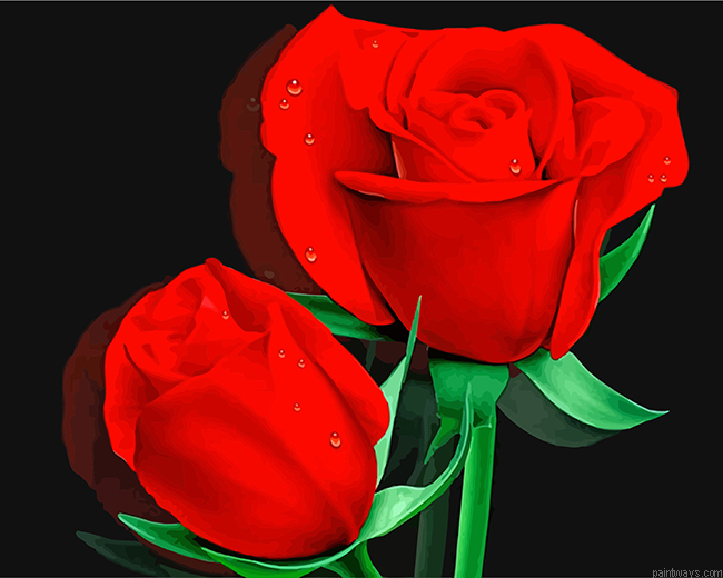 Aesthetic Red Roses Painting By Numberss.png