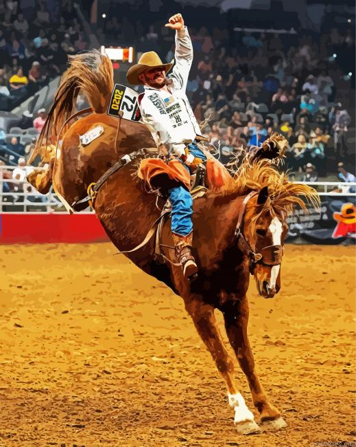 Aesthetic Rodeo Painting By Numberss.png