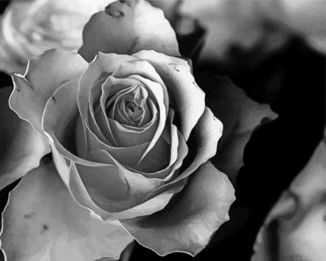 Aesthetic Rose Painting By Numbers.png