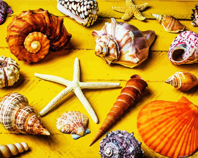 Aesthetic Seashell Painting By Numberss.png