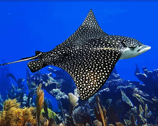 Aesthetic Stingray Fish Painting By Numberss.png