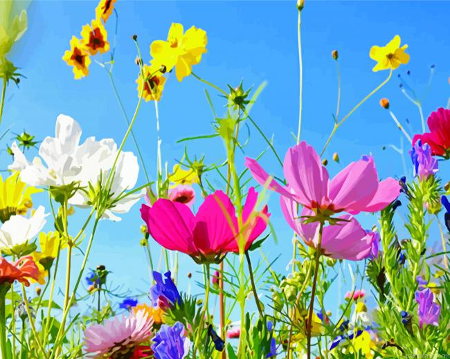 Aesthetic Wild Flowers Meadow Painting By Numberss.png