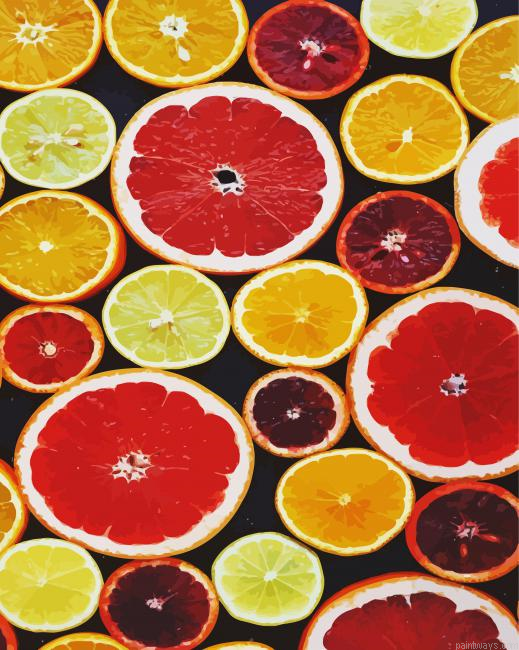 Aesthetics Citrus Fruits Painting By Numberss.png