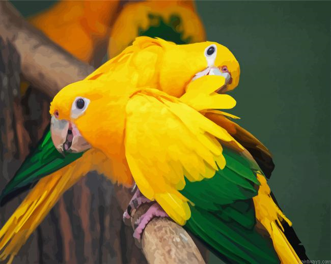 Aesthetics Golden Conures Painting By Numberss.png