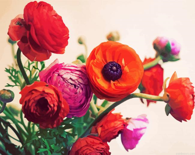 Aesthetics Ranunculus Flowers Painting By Numberss.png