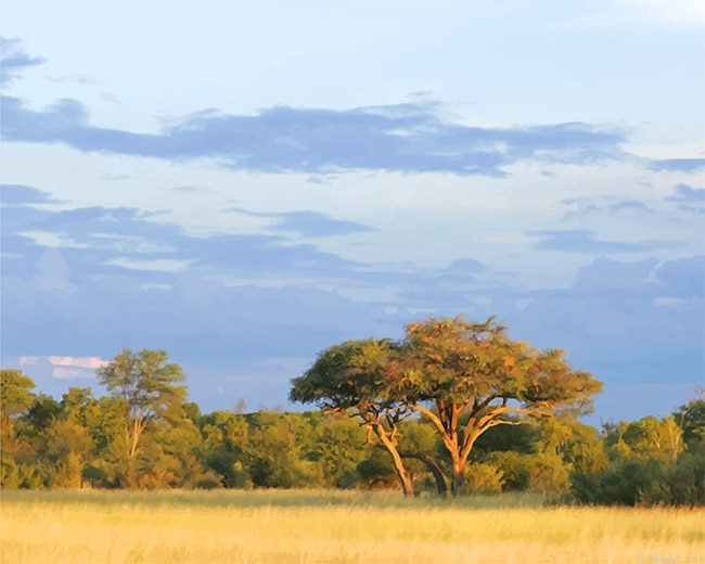 Africa Bulawayo New Painting By Numberss.png