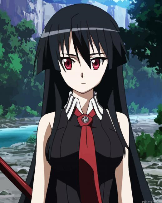 Akame Character Girl Painting By Numberss.png