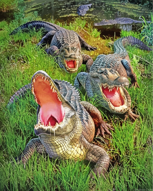 Alligators Animals Painting By Numberss.png