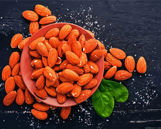 Almonds Dried Fruits Painting By Numberss.png